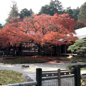 雷山・悲王院【千如寺】へ