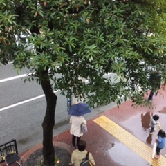 雨です・・・