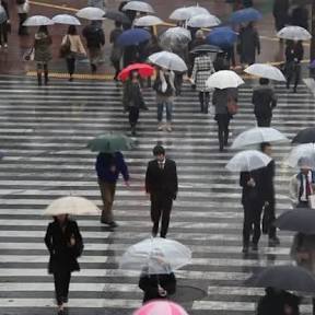 全国的な雨模様。。。