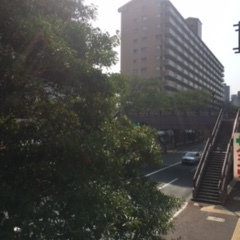 花粉症と肩こり　その②